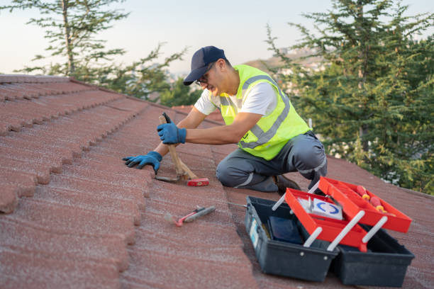 Roof Gutter Cleaning in Mono Vista, CA