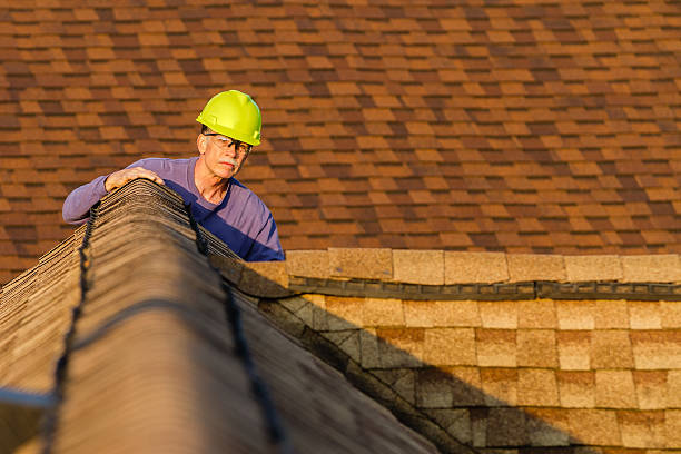 Quick and Trustworthy Emergency Roof Repair Services in Mono Vista, CA